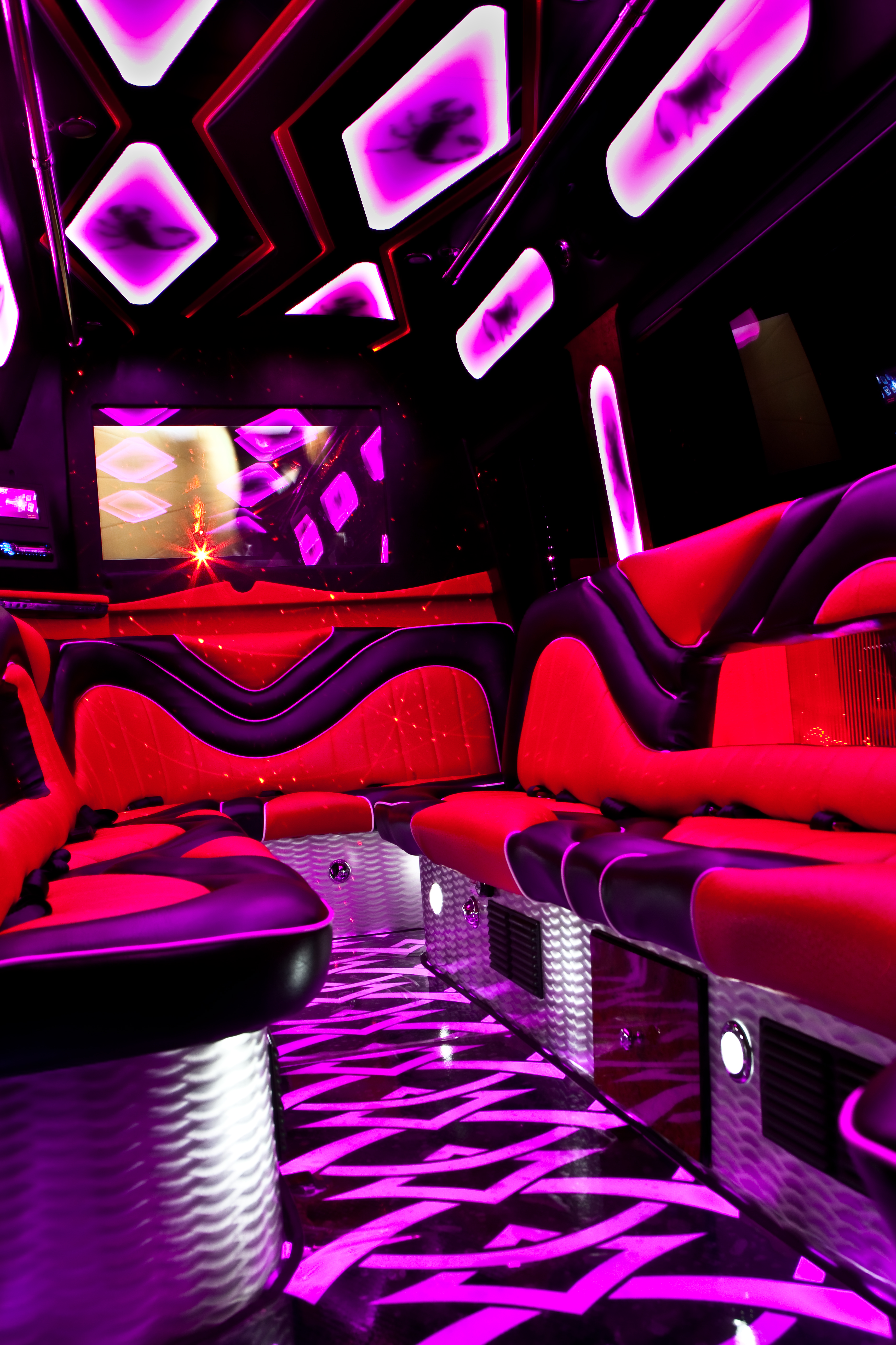 14 Passenger Party Bus Limo Rental